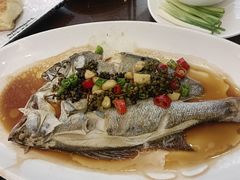 葱椒鲈鱼-津菜宋记老房子(鼓楼店)