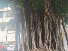 -糖果时光文创产业园