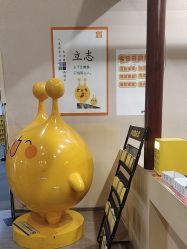 -疯狂的麦咭(长沙店)