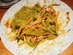 东北大拉皮-姐弟小东北(瑞景商业广场店)