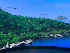 -大连市规划展示中心