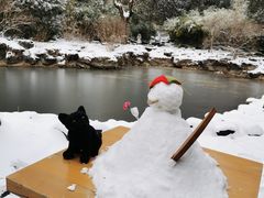 -三忘湖 SWANSEEN(柳荫公园店)