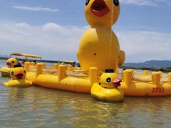 -野鸭湖国家湿地公园