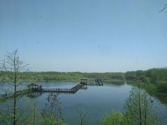-溱湖国家湿地公园