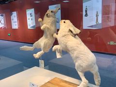 -国家自然博物馆