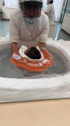 -宝生月子中心·私家园林式(龙华观澜店)