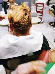 -PE SALON 