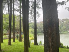-四海公园(南山区)