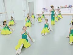 -西安小天鹅艺术团(金花路校区)