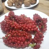 午后时光就要真惬意