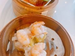 -星湖愉景酒家