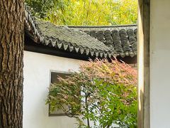 -秋霞圃