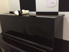 -谈·PIANO(金唐新光界店)