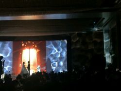 婚礼进行中-中谷小南国花园酒店·宴会厅