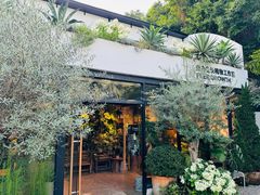 -自由生长植物工作室(深港花卉中心店)