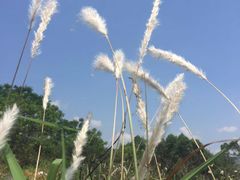 -青龙山国家森林公园