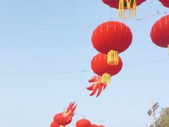 -上海海昌海洋公园