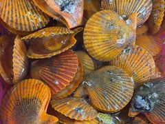 -醉壹号海鲜大排档·老厦门特色菜(厦门美食地标店)