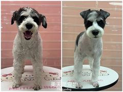 -FAELING PETS美天灵宠物(合生汇店)