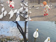 -银树楼(紫玉山庄东区店)