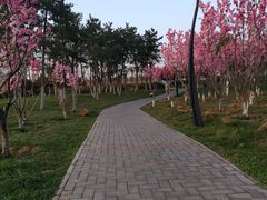 -洨河生态公园