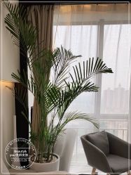 -DELAVAY黛乐薇抗衰中心