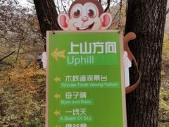 -大岭沟猕猴桃谷风景区