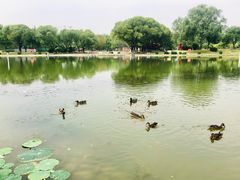 -太阳宫公园
