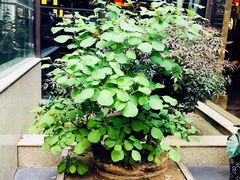 -毅祥斋老孙家泡馍(西羊市店)