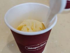 -哈根达斯(石家庄北国店)