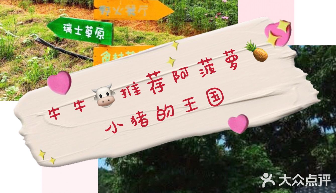 [礼花]宝贝的美好时光，不能错过阿菠萝小猪的王国