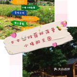 [礼花]宝贝的美好时光，不能错过阿菠萝小猪的王国