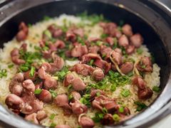 -鸽鸟轩(石岐店)