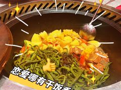 -二胖家铁锅炖大鹅(双井店)