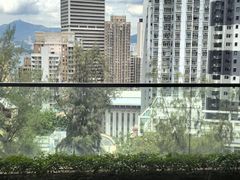 -香港大学