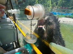 -栾川竹海野生动物园