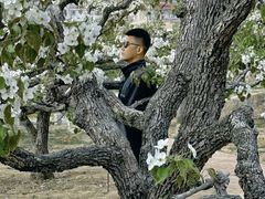 -崂山风景区-大河东游客中心