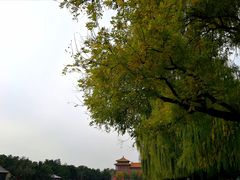 -东华门大街小区