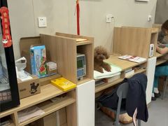 -瑞派宠物医院·犬猫全科·猫友好(宾水西道店)