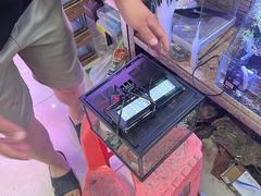 -三旗百汇商品城