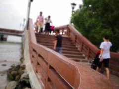 -宝安西湾红树林湿地公园