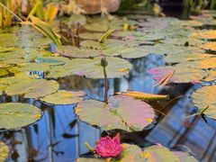 -国家植物园南园