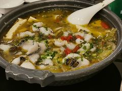 -松花湖水饺(新濠天地店)