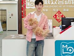 -美联众合爱康动物医院•复杂内科•肿瘤科•牙科•腔镜诊疗中心