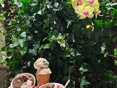 -博林天瑞喜来登酒店·西丽尚膳