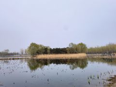 -大兴滨河森林公园