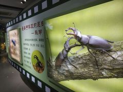 -上海昆虫博物馆