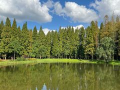 -黄海国家森林公园