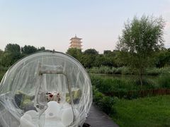 -Supine Bistro溯泮餐厅