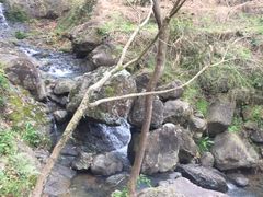 -桑洲油菜花景区
